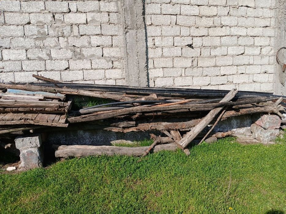 O'tin bor, somsachilar