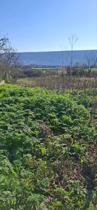 Продава се Парцел в с. Рогачево, Област Добрич - 930 кв.м за 31 €/кв.м - Снимка #6