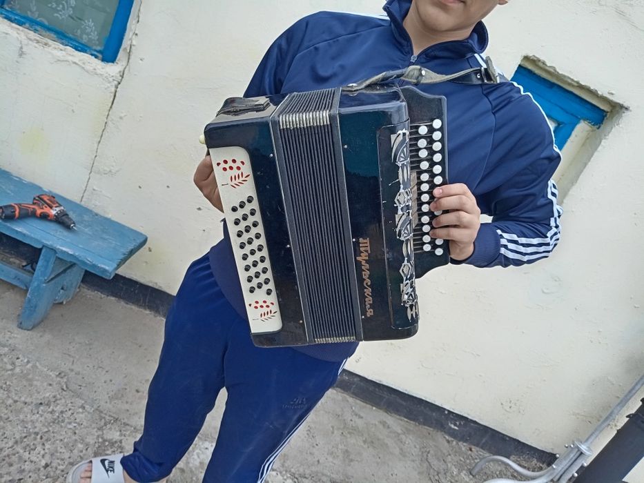 Продам гормошку а