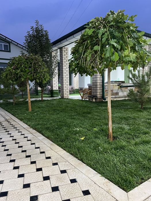 Gazon Birinchi qol Garantiyasi bilan