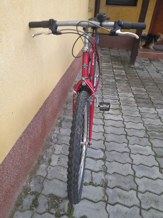 Bicicleta MTB Taifun spider