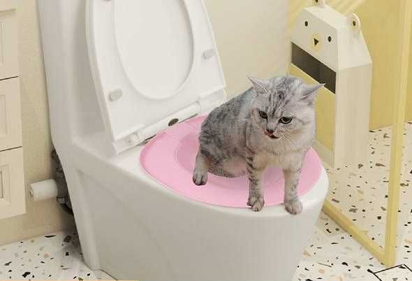 Luba Love bilan jinsiy aloqa