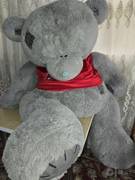 Тедди айик.оригинал