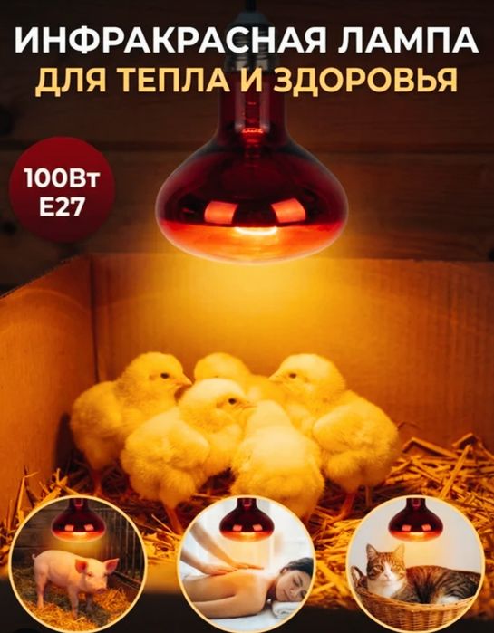 Qizil lampa sotladi