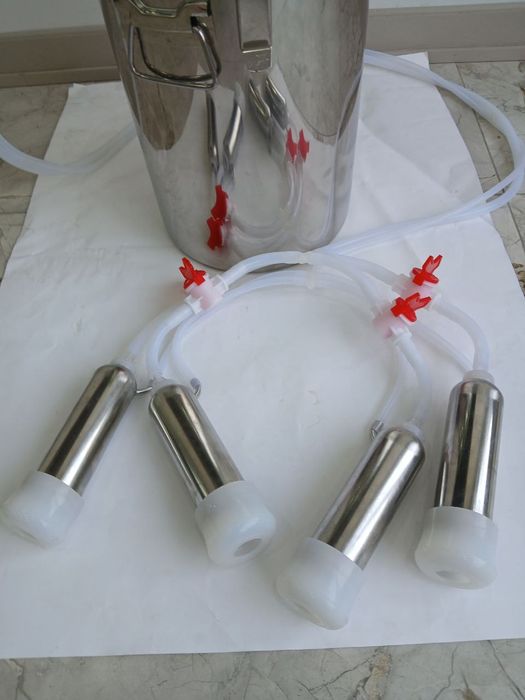 Sigir sogadigan apadat