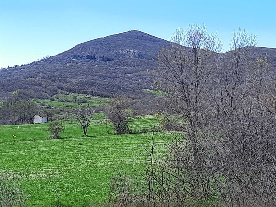 Продава се Парцел в с. Минерални бани, Област Хасково - 730 кв.м за 35 €/кв.м - Снимка #4