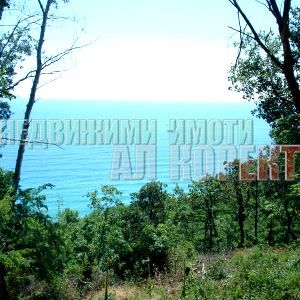 Парцел в Варна-м-т Ракитника площ 3200 кв. м. на цена 65000 евро