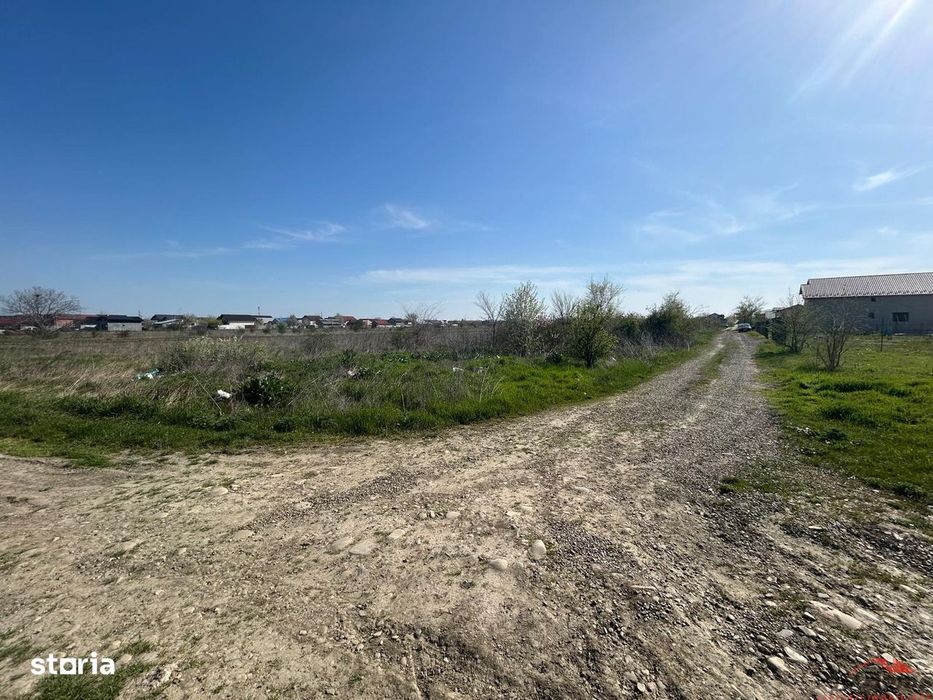Loturi de teren de vanzare in Campineanca