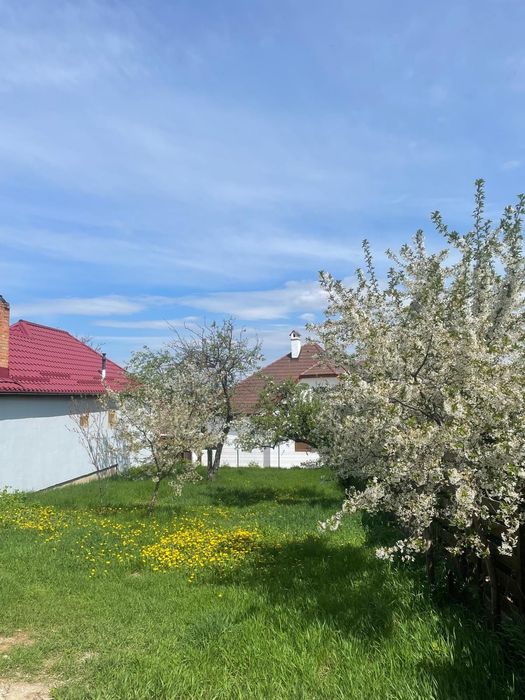 Casa în cartierul Trei Stejari – ideală pentru o familie / birouri / investiție