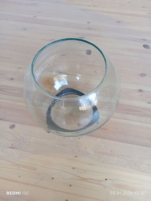 Аквариум шаровой СССР давридан