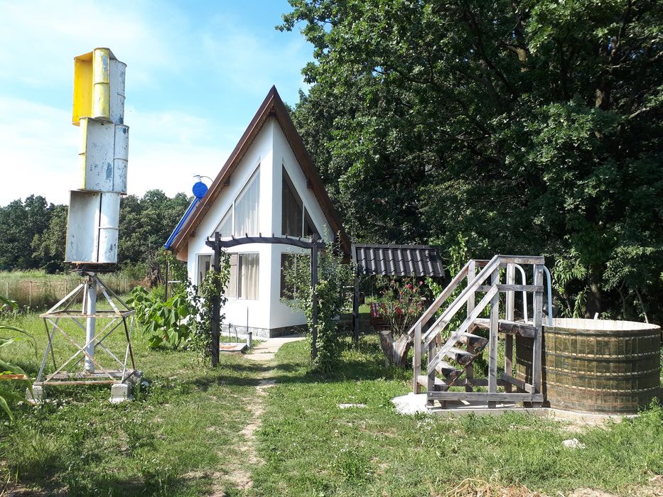 Atelier de tamplarie / debitare materiale lemnoase / Frezare / Lambriu