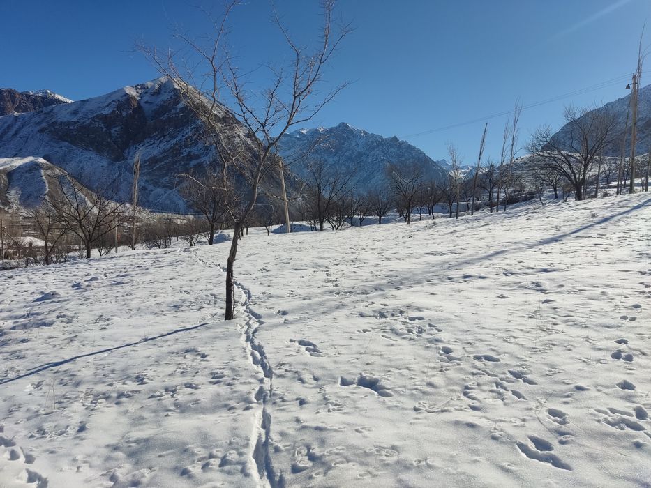 Шохимардон Курук Ер сотилади 10 сотик Шахмардондан