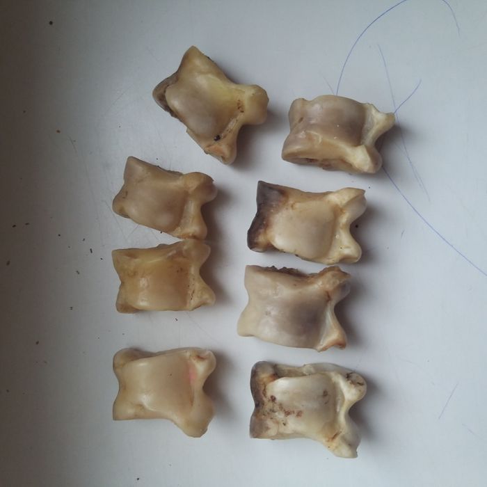 Продам игровой асық