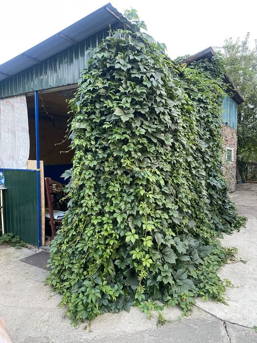 Продам дом район Аэропорт