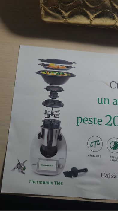Thermomix Tm6 cu doua boluri,urilizat!