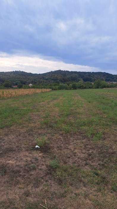 Mărăcineni Argeșelu teren 3500m2