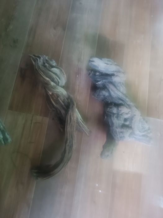 Продам коряги с реки