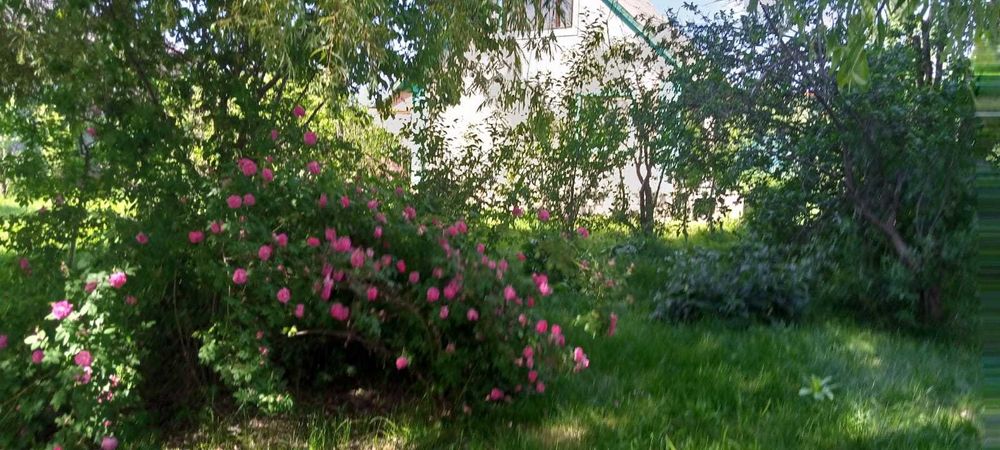 Продам дом  с участком 12 соток