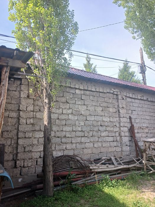 Кесиладига Терак бор
