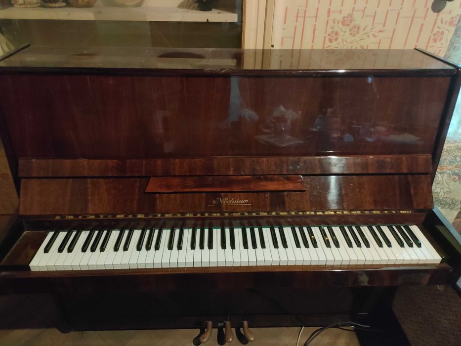 Pianina nocturno