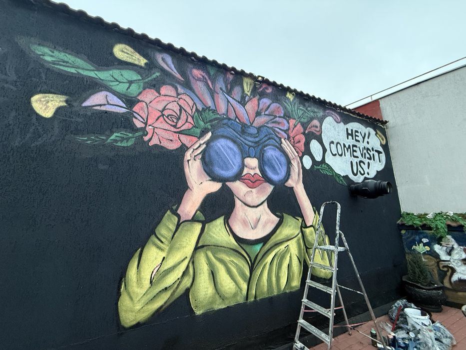 Desene pe pereti, Picturi murale, Graffiti, Street Art