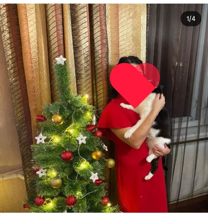 Продается занавески с органзой