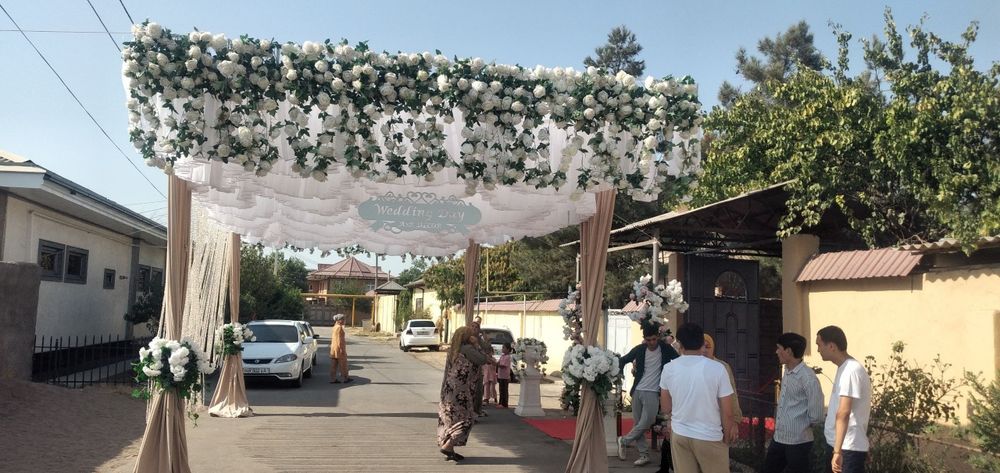 Оформления туй учун