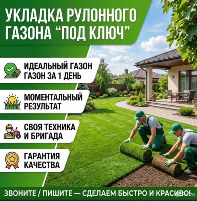 Газоны жонсин посевной