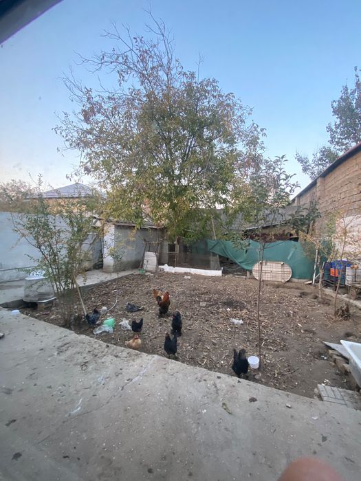 Продается дом на земле