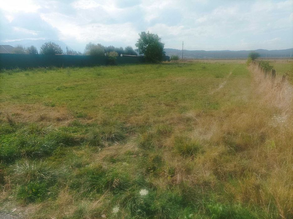 Teren de vanzare cu PUZ Rasnov 1597 mp