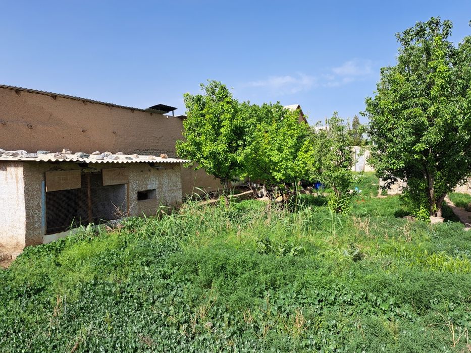 Hovli 5 sotix sotiladi