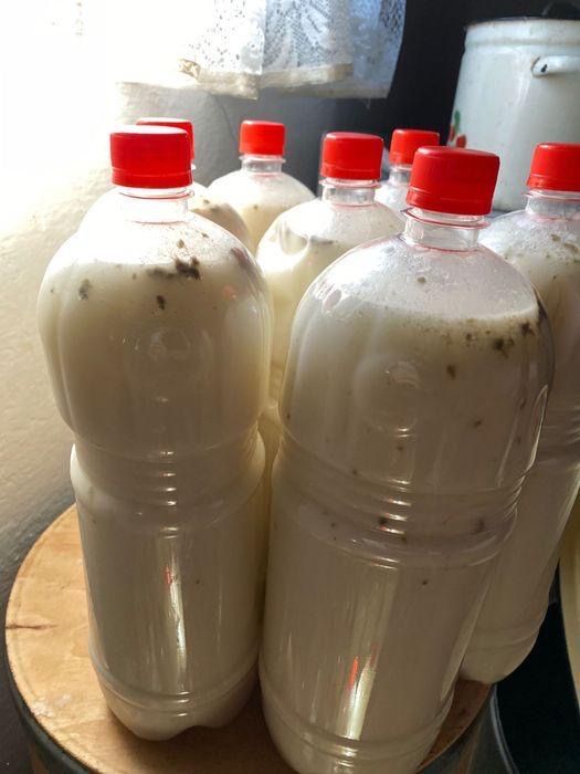 Кумыс Баянауылский