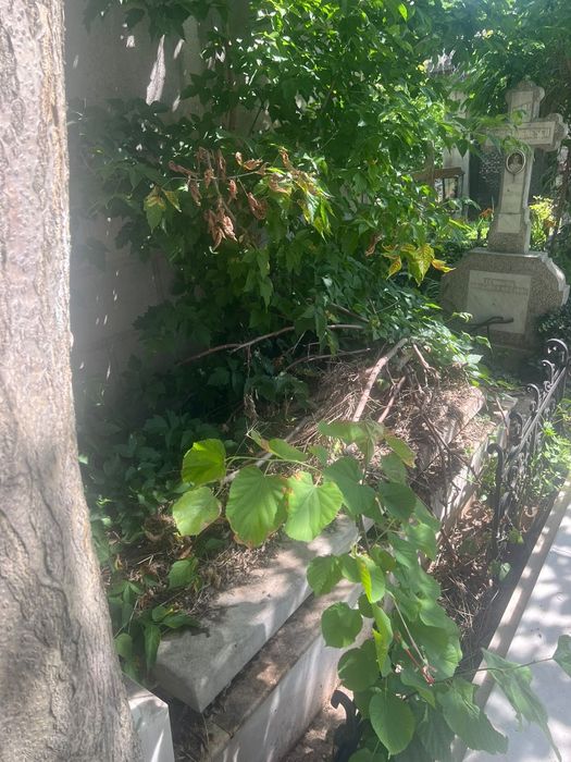 Loc de veci in cimitirul Iancu Nou