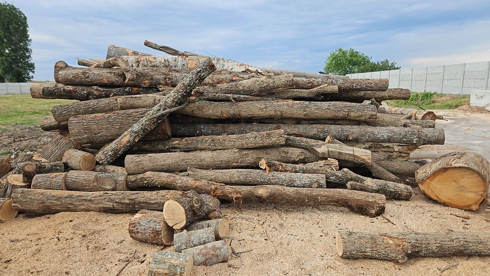 Lemne foc uscate fag ,stejar și carbuni