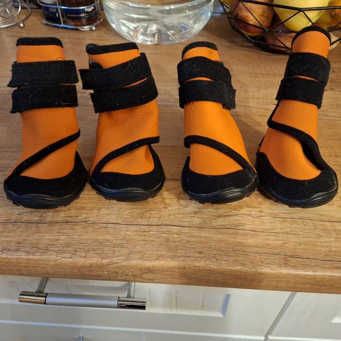 Обувки за  куче.