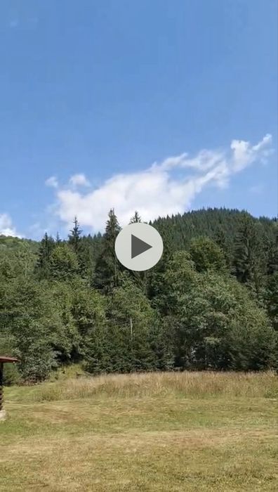 Vand teren Valea Ilvei - Lunca Bradului Parcul National Calimani