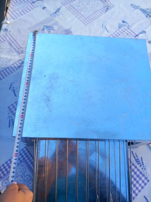 Електрически принцесник