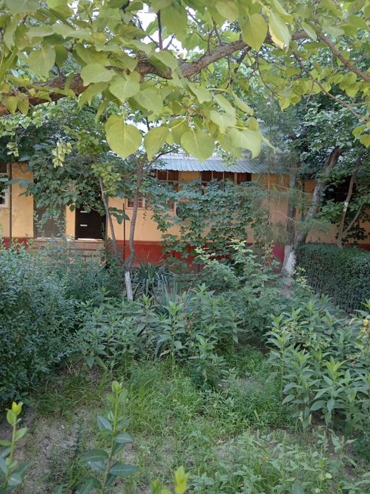 Zarafshon shahri 3 mkr 3-dom 6-kvartira uy holati yaxshi, 1-etajda