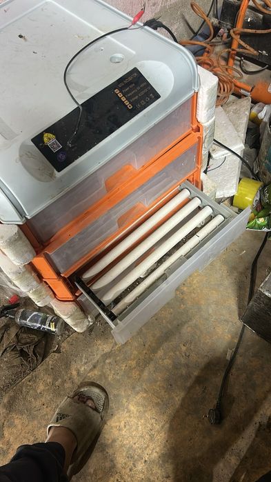 Инкубатор  для яиц