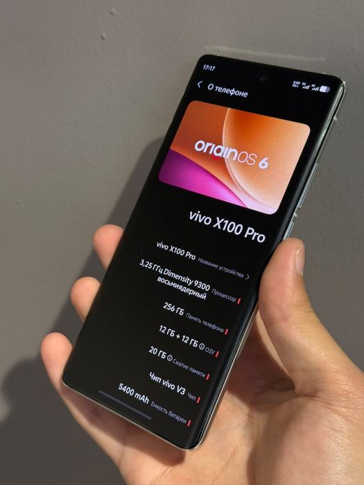 Vivo x100 pro 256