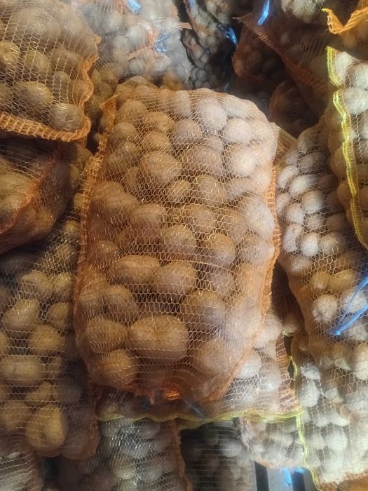 Cartof consum si samanta