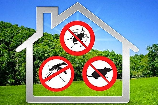 Дезинфекция! Уничтожение клопов/клопы, тараканов/тараканы, грызунов.
