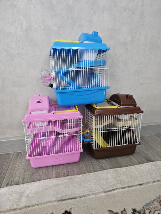 Новые клетки + хомяк в подарок