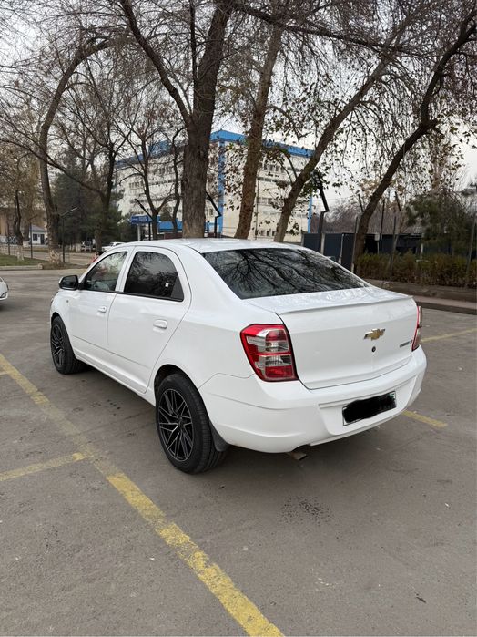 Cobalt MT 2019y. Gazi bor