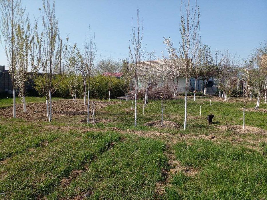 Продаю дачу,два участка по 6 соток,дом хоз постройки,плодовые деревья.