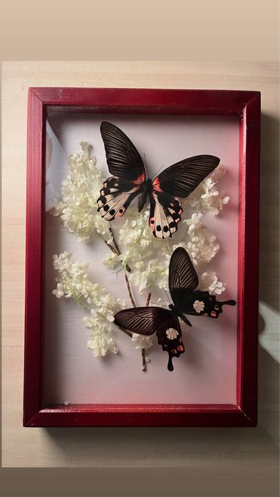 Уникални ръчно изработени картини