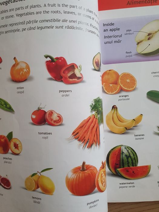 Dicționar ilustrat englez - român