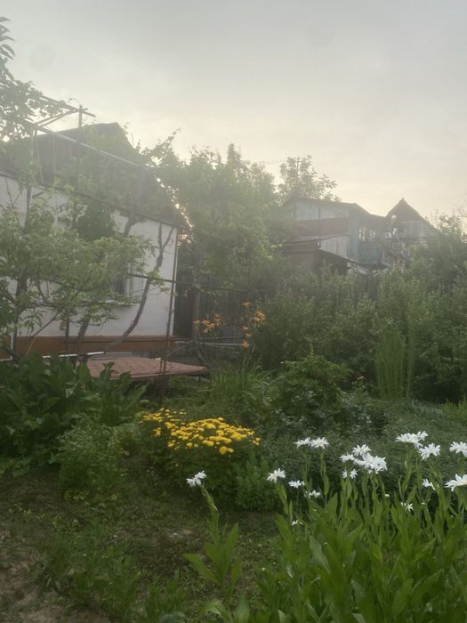 Продается дача. Новбахор