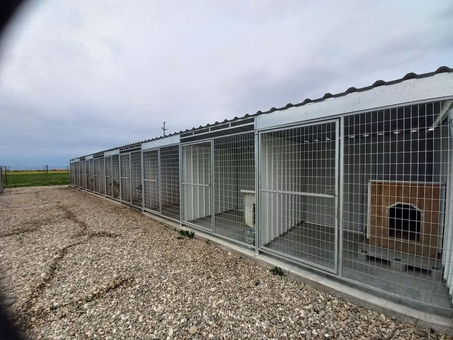 Pensiune canina Brasov