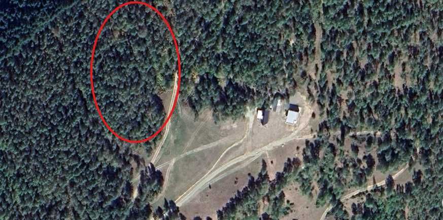 Teren de vânzare - Baia de Fier, zona Măgura - 3000 mp - Negociabil